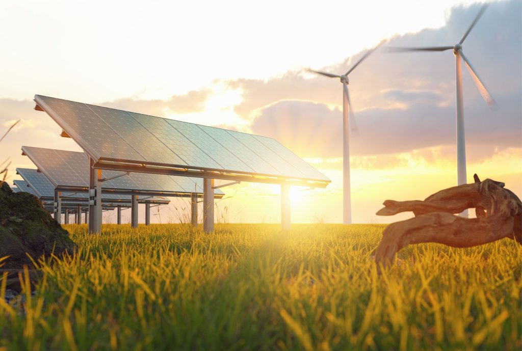 Renewable energy. Fossil fuels. A mix of both. Putting politics aside, what makes the most business sense?  